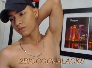 2BIGCOCKBLACKS