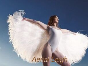 Aerial_Leigh