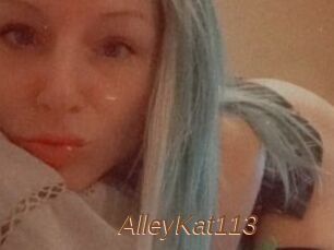 AlleyKat113