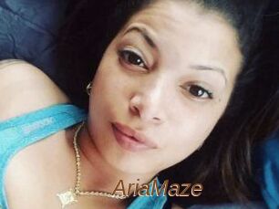 Aria_Maze