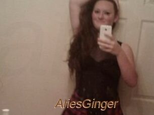 AriesGinger