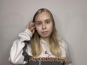 Accadavidge