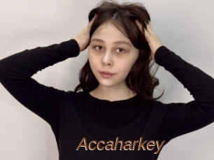 Accaharkey