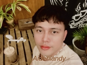 Aidenlandy