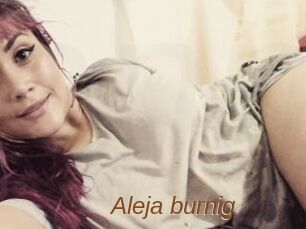 Aleja_burnig