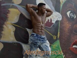 Alexbigmuscle