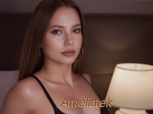 Ameliatek