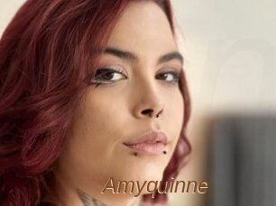 Amyquinne