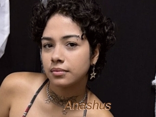 Anashus