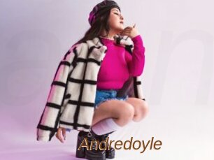 Andredoyle