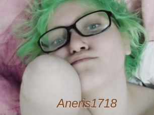 Aneris1718