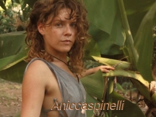 Aniccaspinelli