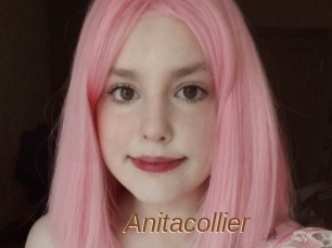 Anitacollier