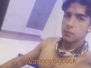 Anthonybigcock