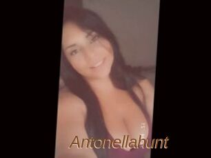 Antonellahunt