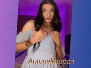 Antonellatobon