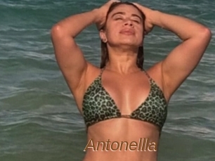 Antonellla