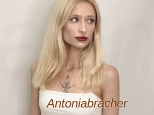 Antoniabracher