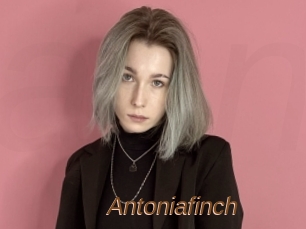 Antoniafinch