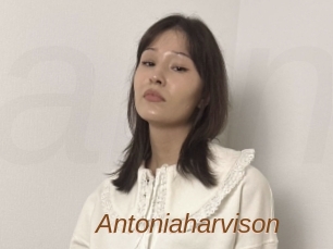 Antoniaharvison