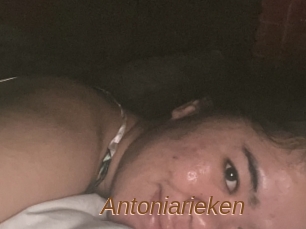 Antoniarieken