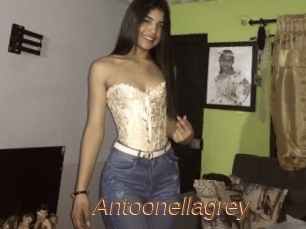 Antoonellagrey