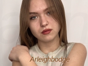 Arleighbodge