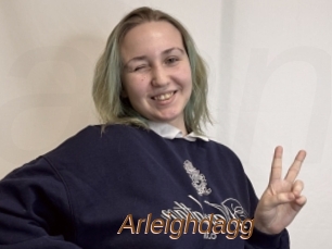 Arleighdagg