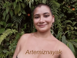 Artemiznayak