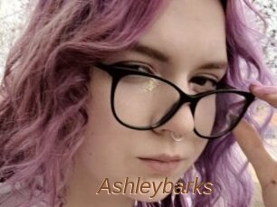 Ashleybarks