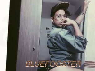 BLUEFOOSTER