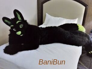 BaniBun