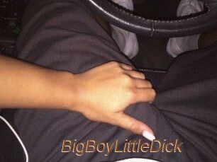 BigBoyLittleDick