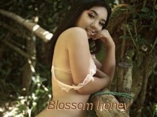 Blossom_honey