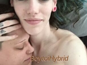 BoytoiHybrid