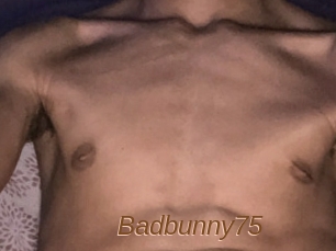 Badbunny75