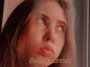 Beatrixfunnell