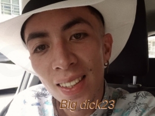 Big_dick23