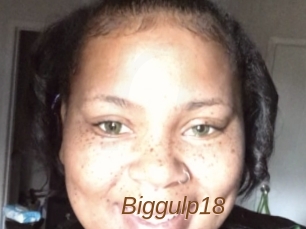 Biggulp18