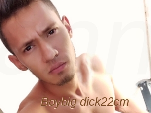 Boybig_dick22cm