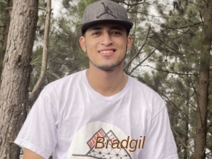 Bradgil