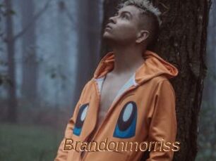 Brandonmorriss