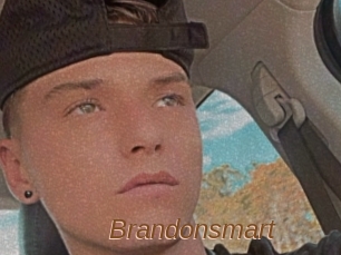 Brandonsmart