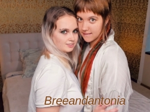 Breeandantonia