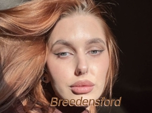 Breedensford