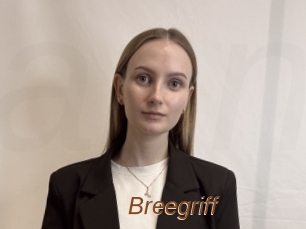 Breegriff