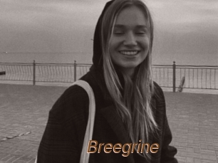 Breegrine