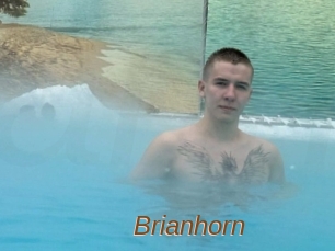 Brianhorn