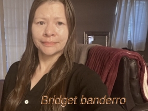 Bridget_banderro