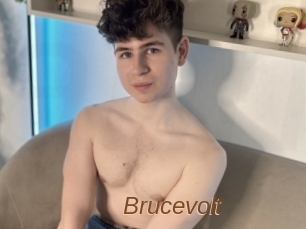 Brucevolt